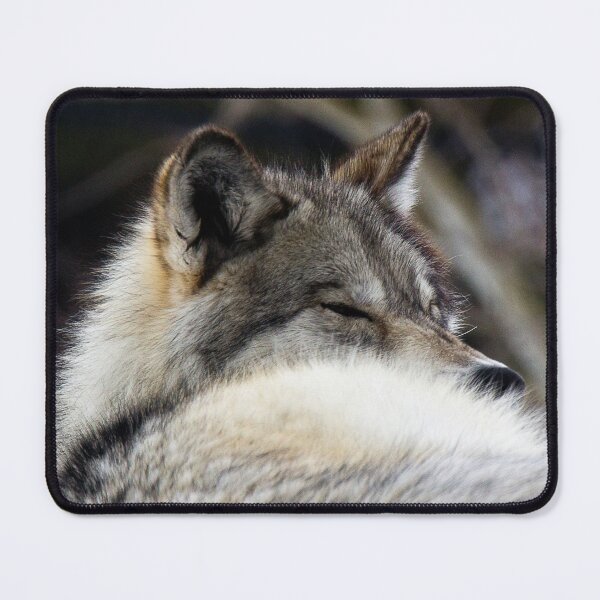 Item preview, Wolf taking a nap designed and sold by Gilby-Designs.