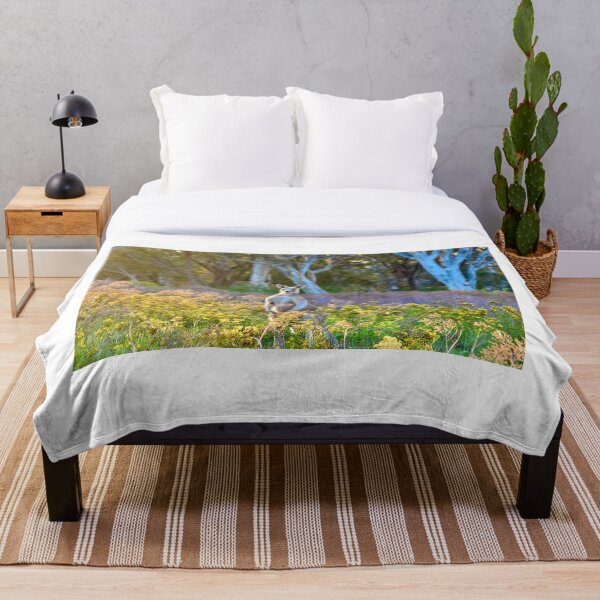 Item preview, Eastern Grey Kangaroo in the wild designed and sold by cbrpix.