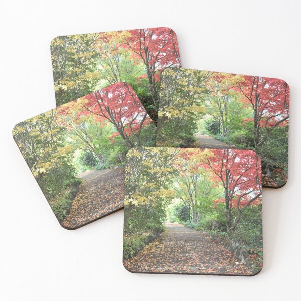 Artikelvorschau, Autumn Pathway entworfen und verkauft von Kathie Thomas.