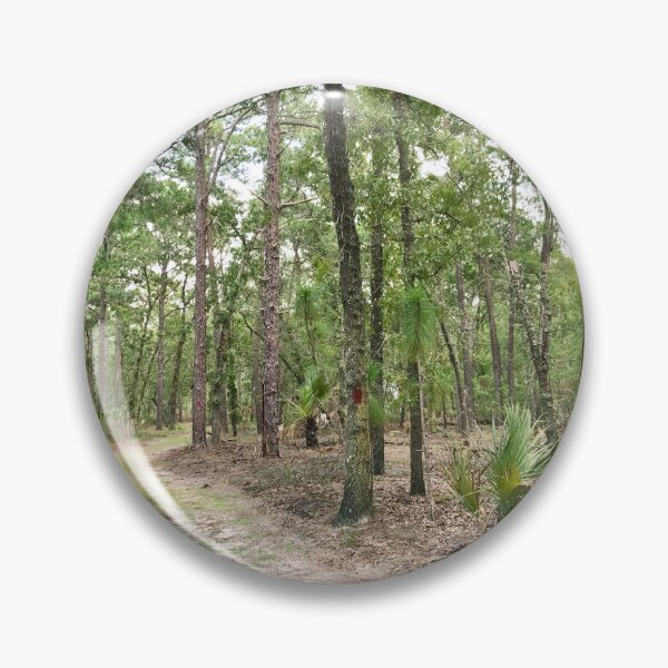 Item preview, Hiking trail in Florida designed and sold by Easley-Does-It.