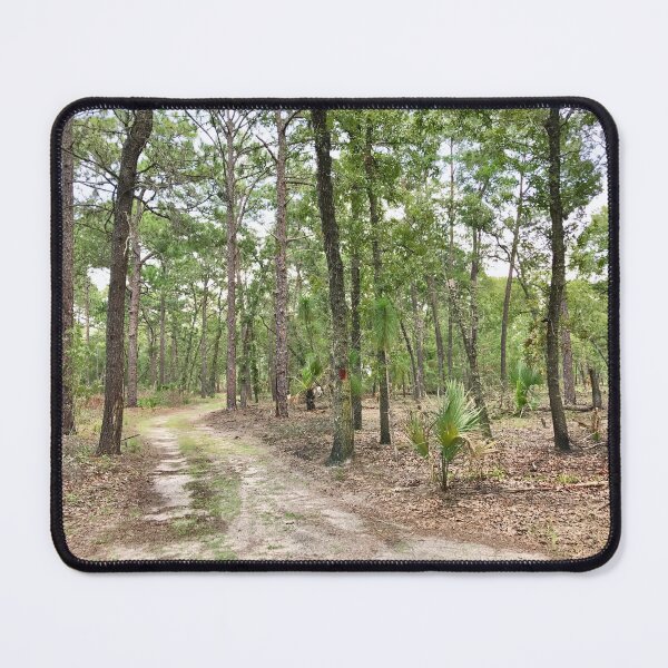 Item preview, Hiking trail in Florida designed and sold by Easley-Does-It.