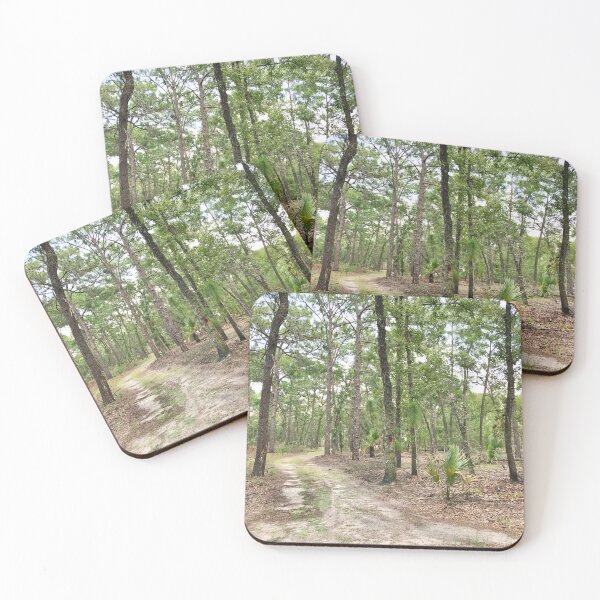 Item preview, Hiking trail in Florida designed and sold by Easley-Does-It.