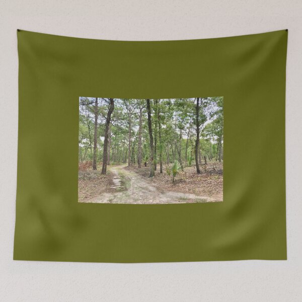 Item preview, Hiking trail in Florida designed and sold by Easley-Does-It.
