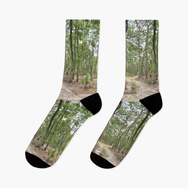 Item preview, Hiking trail in Florida designed and sold by Easley-Does-It.