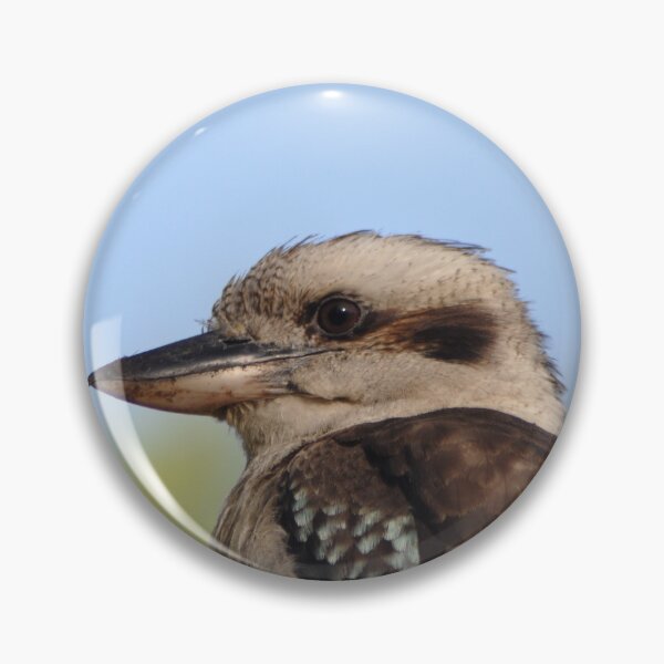 Artikelvorschau, Australian Laughing Kookaburra entworfen und verkauft von Kathie Thomas.