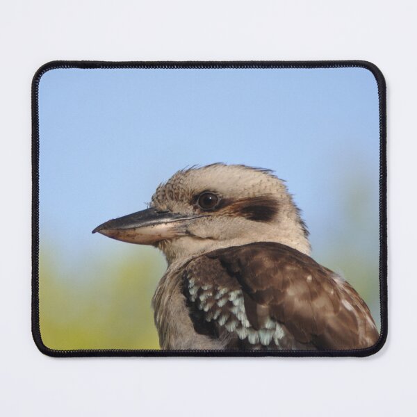 Item preview, Australian Laughing Kookaburra designed and sold by Kathie Thomas.