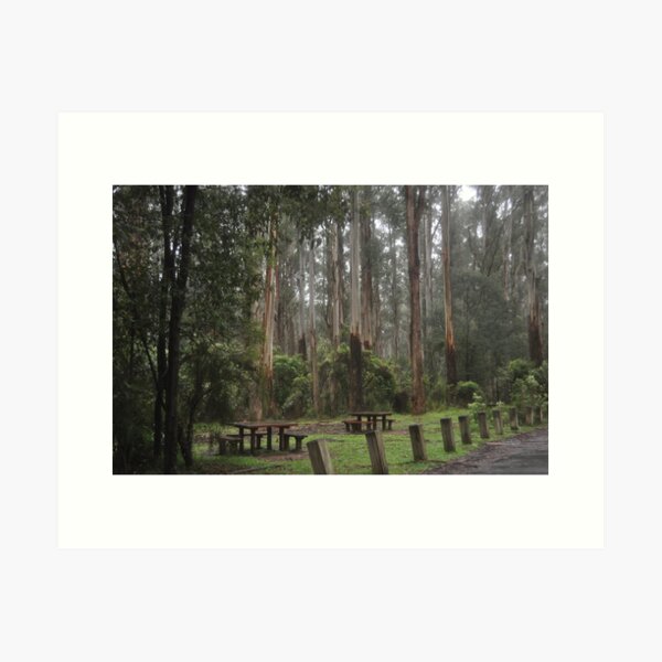 Item preview, Picnic in Sherbrooke Forest designed and sold by Kathie Thomas.
