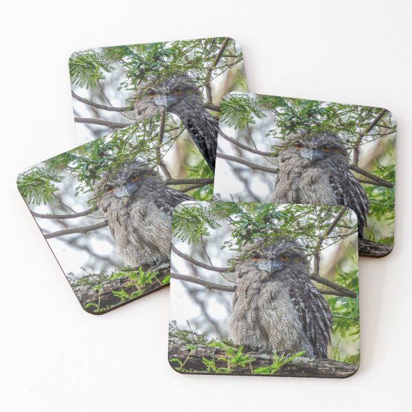 Item preview, Tawny Frogmouth giving me that stare designed and sold by Kathie Thomas.