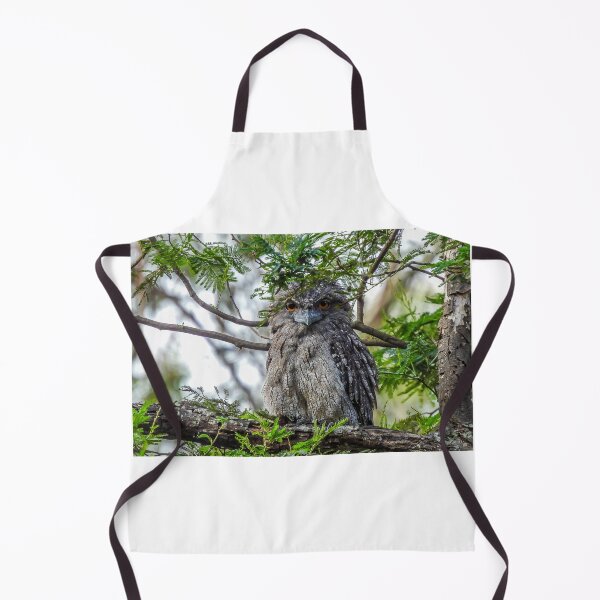 Item preview, Tawny Frogmouth giving me that stare designed and sold by Kathie Thomas.