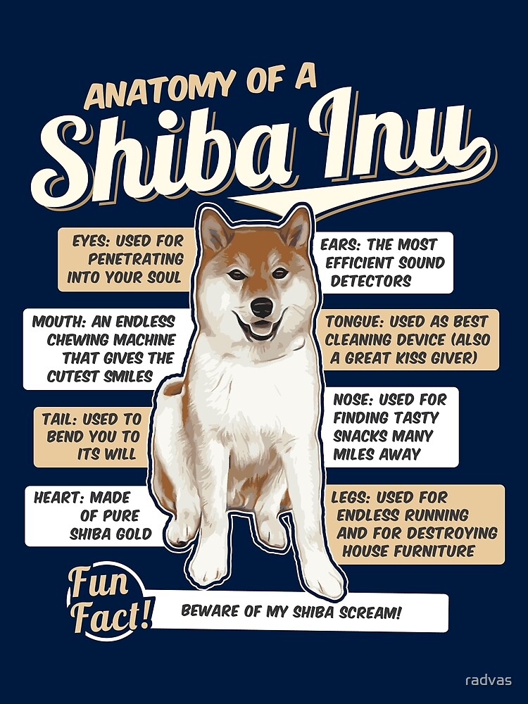 Anatomy Of A Shiba Inu Poster By Radvas Redbubble