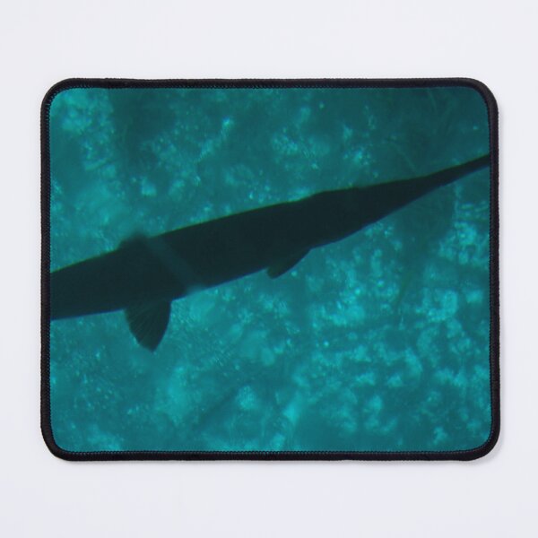 Item preview, Spotted Gar under Glass Bottom Boat designed and sold by Easley-Does-It.