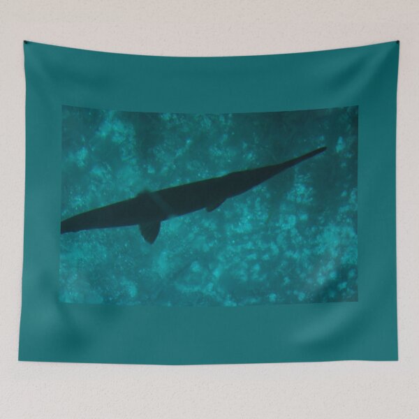 Item preview, Spotted Gar under Glass Bottom Boat designed and sold by Easley-Does-It.