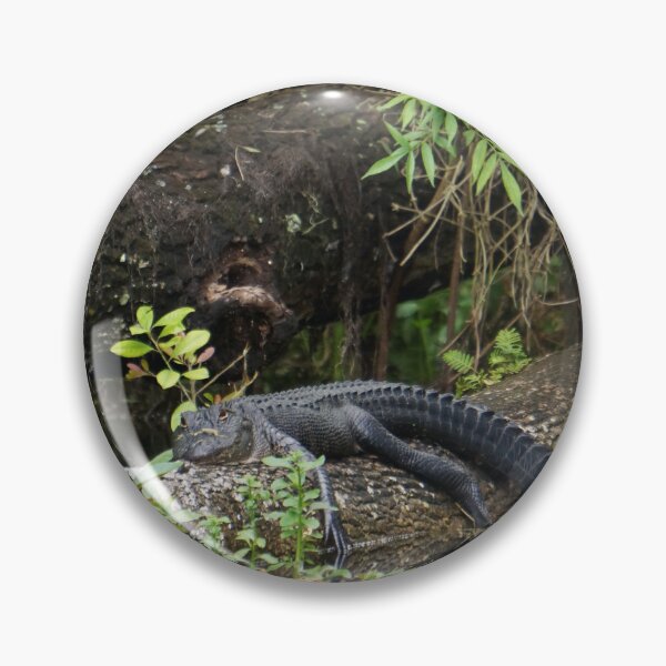 Item preview, Florida Alligator on Log designed and sold by Easley-Does-It.