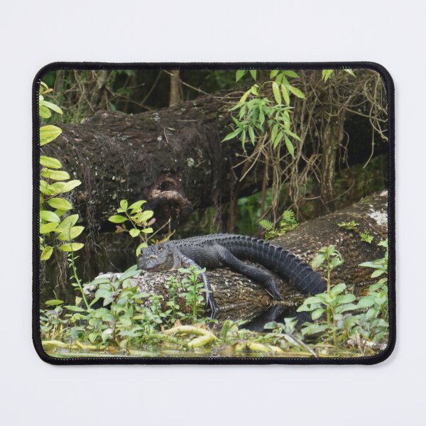 Item preview, Florida Alligator on Log designed and sold by Easley-Does-It.