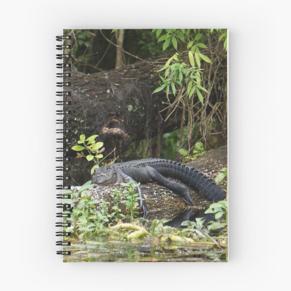 Item preview, Florida Alligator on Log designed and sold by Easley-Does-It.