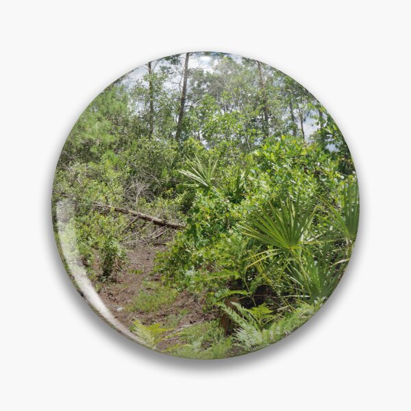 Artikelvorschau, Wanderweg in Wekiva entworfen und verkauft von Easley-Does-It.