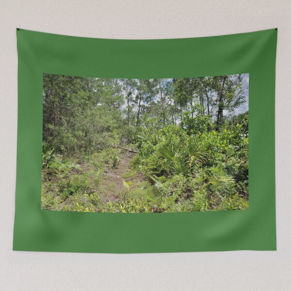 Item preview, Hiking Trail in Wekiva designed and sold by Easley-Does-It.