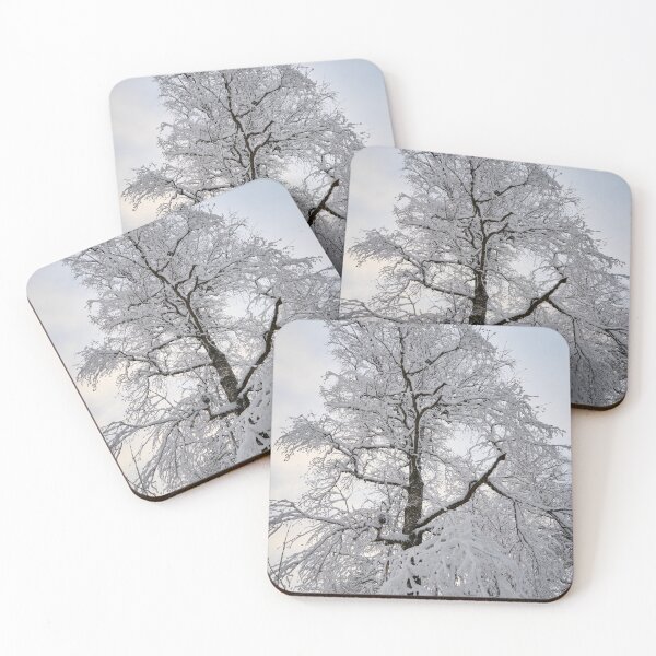 Item preview, Whites. Parkkuu winter 2023 minimal color designed and sold by Jouko Lehto Photography.