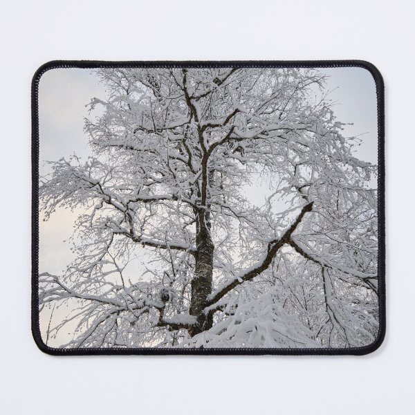 Item preview, Whites. Parkkuu winter 2023 minimal color designed and sold by Jouko Lehto Photography.