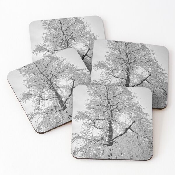 Item preview, Whites. Parkkuu winter 2023  bw designed and sold by Jouko Lehto Photography.