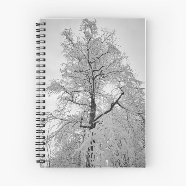 Item preview, Whites. Parkkuu winter 2023  bw designed and sold by Jouko Lehto Photography.