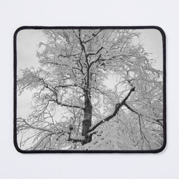 Item preview, Whites. Parkkuu winter 2023  bw designed and sold by Jouko Lehto Photography.
