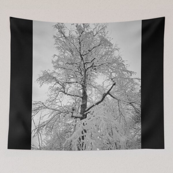 Item preview, Whites. Parkkuu winter 2023  bw designed and sold by Jouko Lehto Photography.