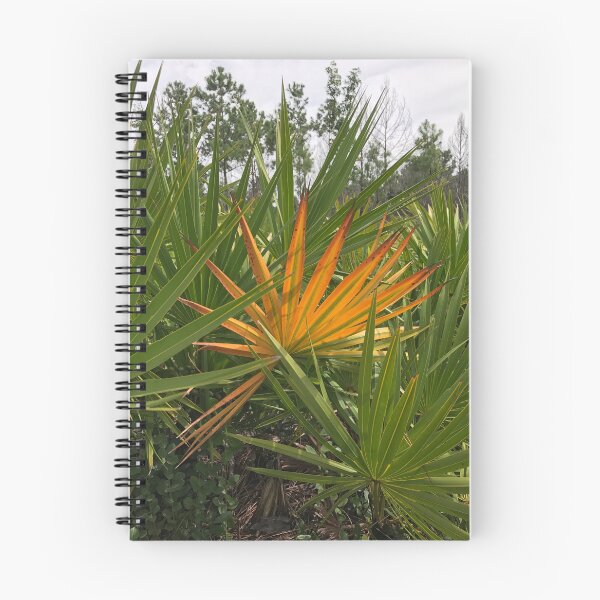 Item preview, Orange Palmetto among many green designed and sold by Easley-Does-It.