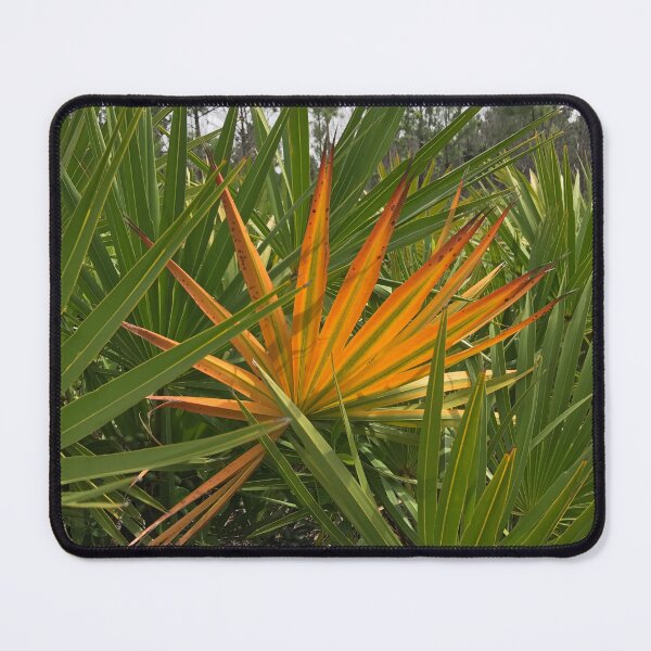 Item preview, Orange Palmetto among many green designed and sold by Easley-Does-It.