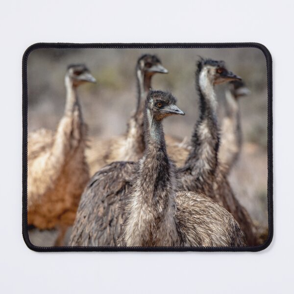 Item preview, Emu Mob designed and sold by Kathie Thomas.