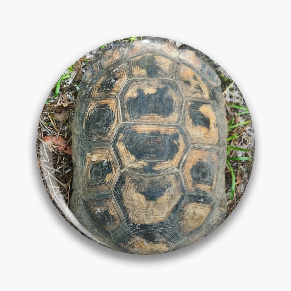 Item preview, turtle shell from above designed and sold by Easley-Does-It.
