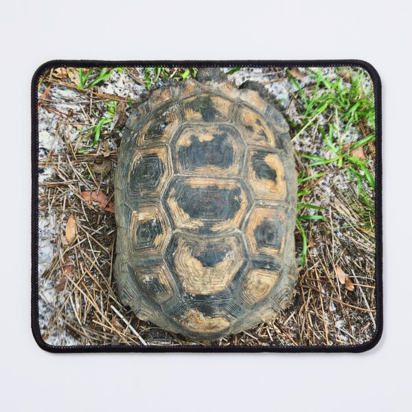 Item preview, turtle shell from above designed and sold by Easley-Does-It.
