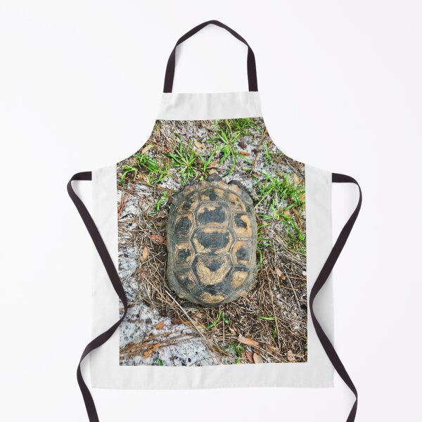 Item preview, turtle shell from above designed and sold by Easley-Does-It.