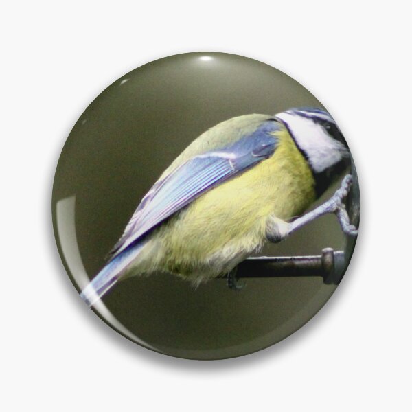 Item preview, blue tit designed and sold by KathleenDawson.