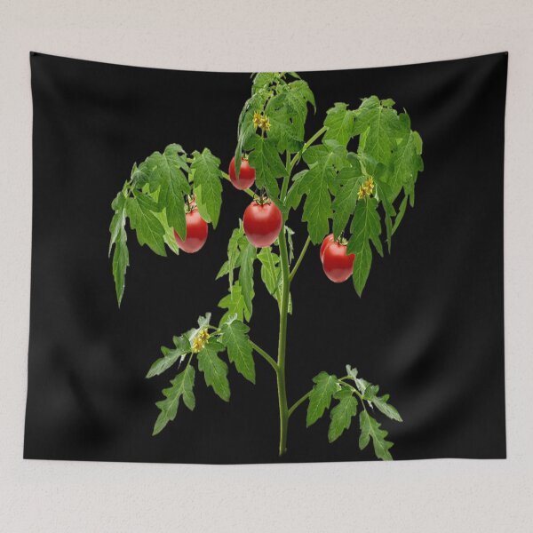 Item preview, Tomate Roots  designed and sold by The Happiness Market .