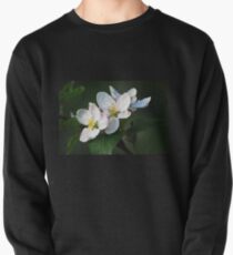 Blossom Time Pullover