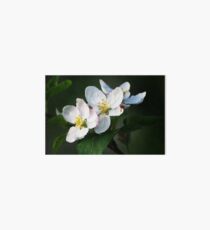 Blossom Time Art Board