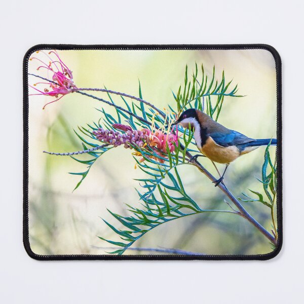 Item preview, Eastern Spinebill in Grevillea designed and sold by Kathie Thomas.