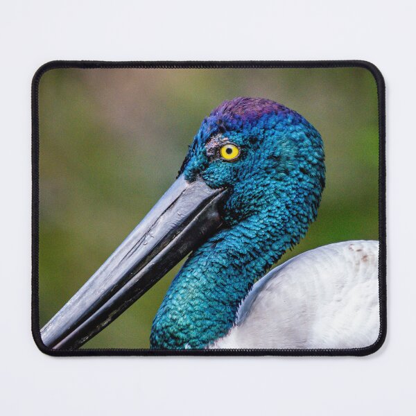 Item preview, Black necked Stork or Jabiru designed and sold by Kathie Thomas.