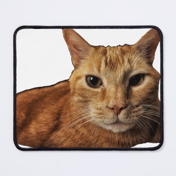 Item preview, No Thoughts, Only Fluff Orange Kitty Cutout  designed and sold by TwistedP-Photos.