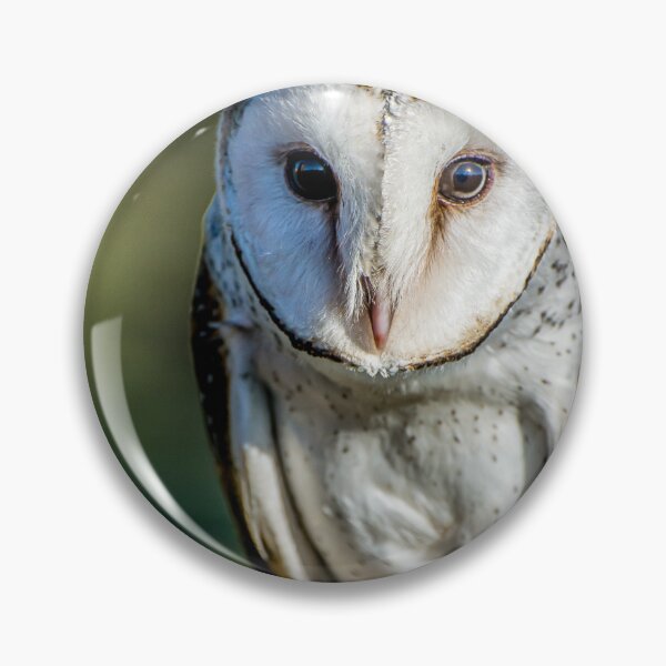 Item preview, Barn Owl designed and sold by Kathie Thomas.