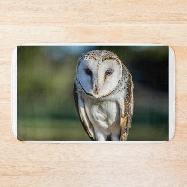 Item preview, Barn Owl designed and sold by Kathie Thomas.