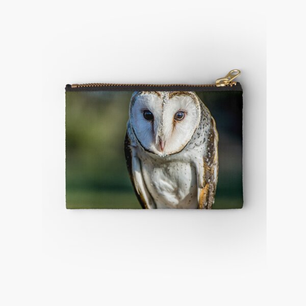 Item preview, Barn Owl designed and sold by Kathie Thomas.
