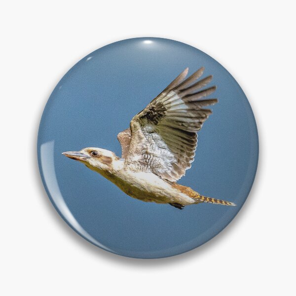 Item preview, Kookaburra in flight designed and sold by Kathie Thomas.