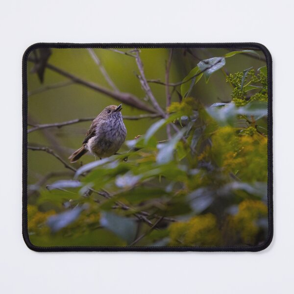 Item preview, Brown Thornbill singing - bird designed and sold by Tara Smithson.