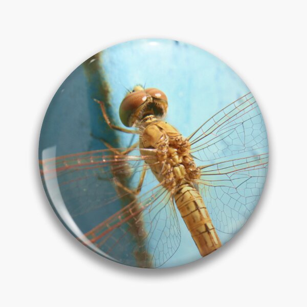Item preview, Orange Dragonfly designed and sold by RanranBugs.