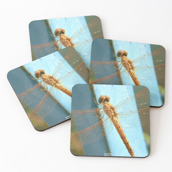 Item preview, Orange Dragonfly designed and sold by RanranBugs.