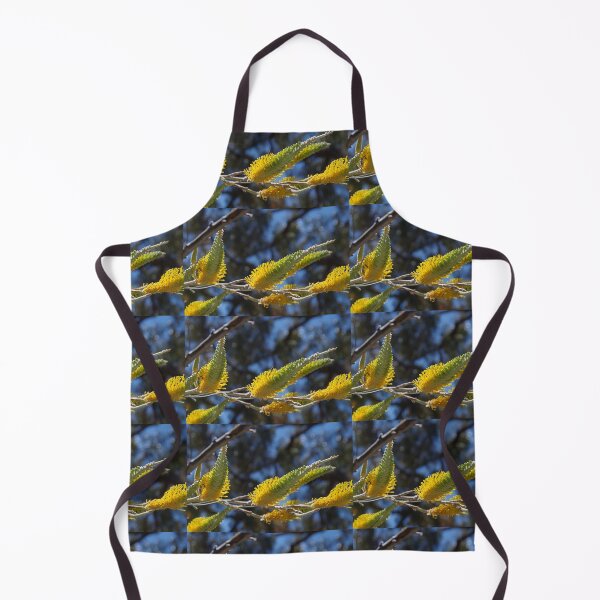 Item preview, Flame Grevillea (Grevillea excelsior) designed and sold by lezvee.