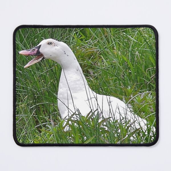Item preview, Trentham Duck, Australia designed and sold by lezvee.