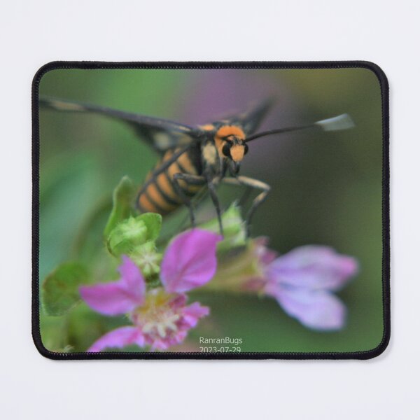 Item preview, Tiger moth on flowers designed and sold by RanranBugs.